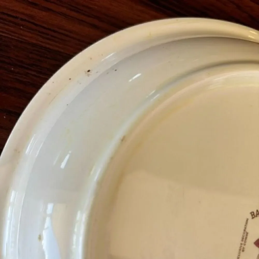 Ballerina By Universal Rose Pattern Ceramic Pie Plate